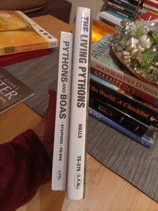 2 Libros en Inglés, PYTHONS