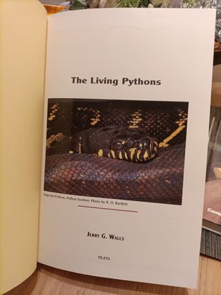 2 Libros en Inglés, PYTHONS