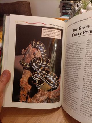 2 Libros en Inglés, PYTHONS