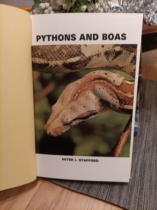 2 Libros en Inglés, PYTHONS