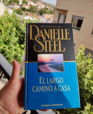 Colección libros Danielle Steel
