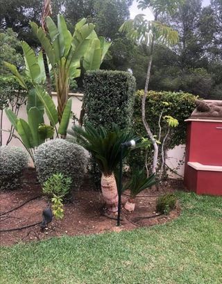 Jardinero economíco 