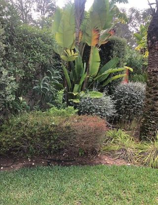 Jardinero economíco 
