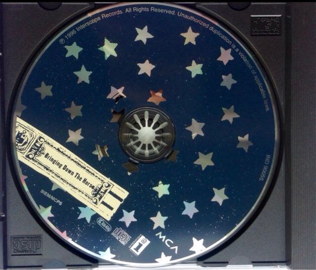 CD The Wallflowers Bringing down the horse