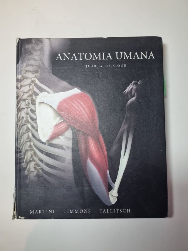 Anatomia Umana Martini