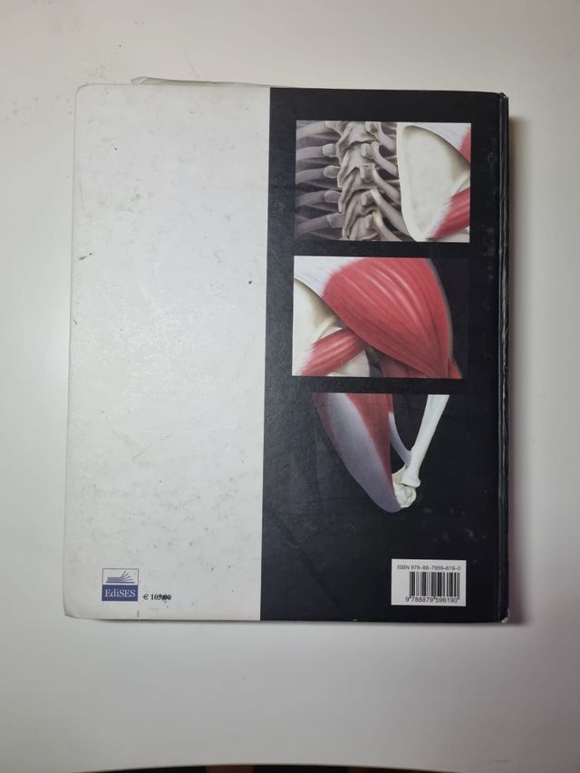 Anatomia Umana Martini