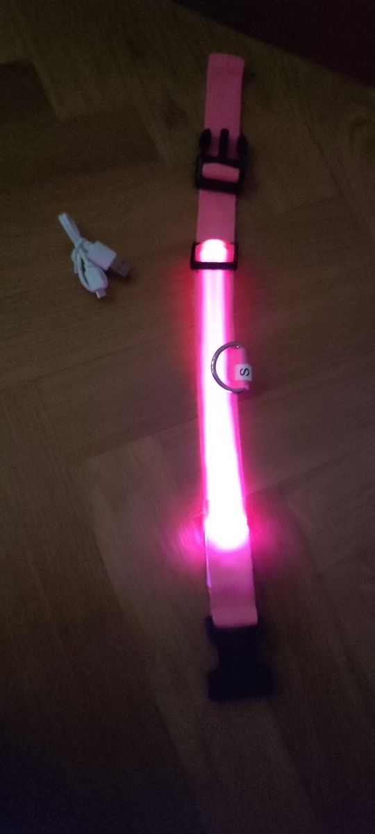 Collar con led perro