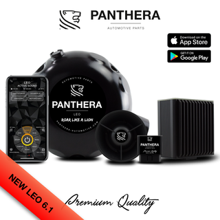 PANTHERA LEO ASC 6.1 SISTEMA DE SONIDO ACTIVO