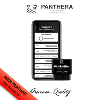 PANTHERA LEO ASC 6.1 SISTEMA DE SONIDO ACTIVO