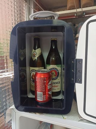 Mini nevera