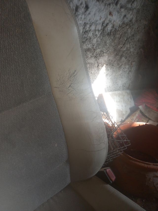 Asientos delanteros bmw