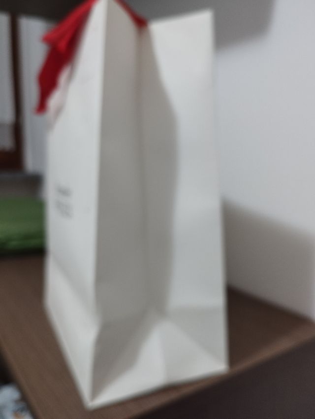 Sacchetto di carta Alexander McQueen