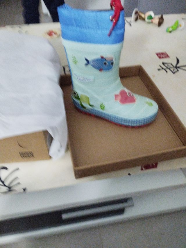 Botas de Agua