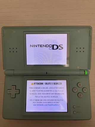 Nintendo Ds