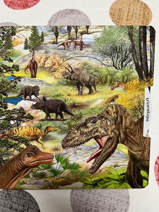 Animales salvajes cuento 