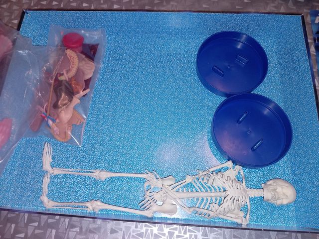 Juego Conoce tu anatomía