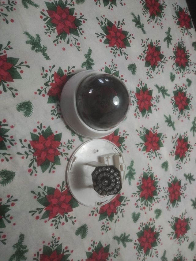 Videocamera di sorveglianza di simulazione