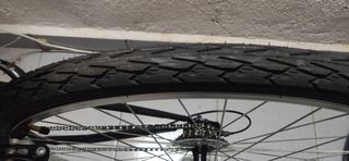 Bicicleta Riverside 100
