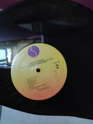 Vinilo chiefs of relief