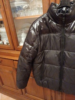 Giacca invernale Calvin Kleyn Jeans