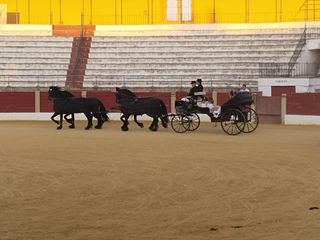 Carruaje
