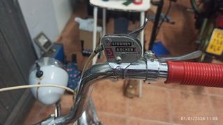 cuadro sunn maxe serie 6