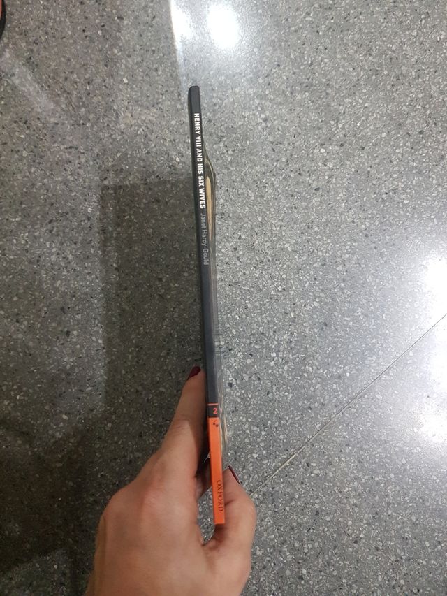 Libro henry VIII and his sin wive