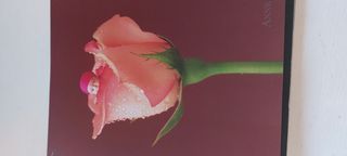 Láminas Anne Geddes