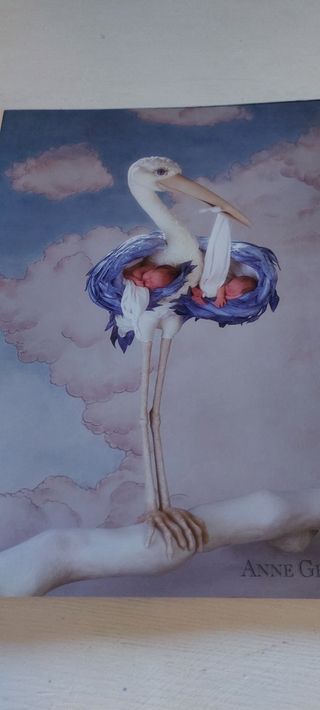 Láminas Anne Geddes