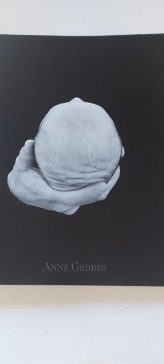 Láminas Anne Geddes