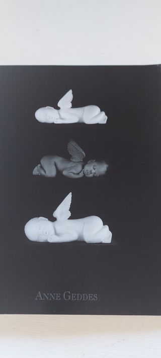 Láminas Anne Geddes