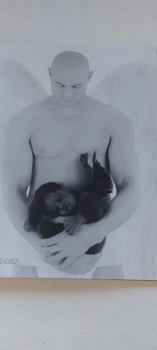 Láminas Anne Geddes