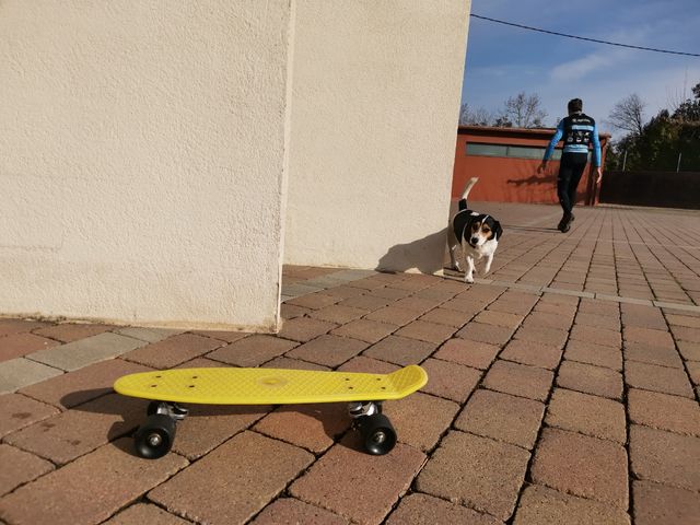 Patinete