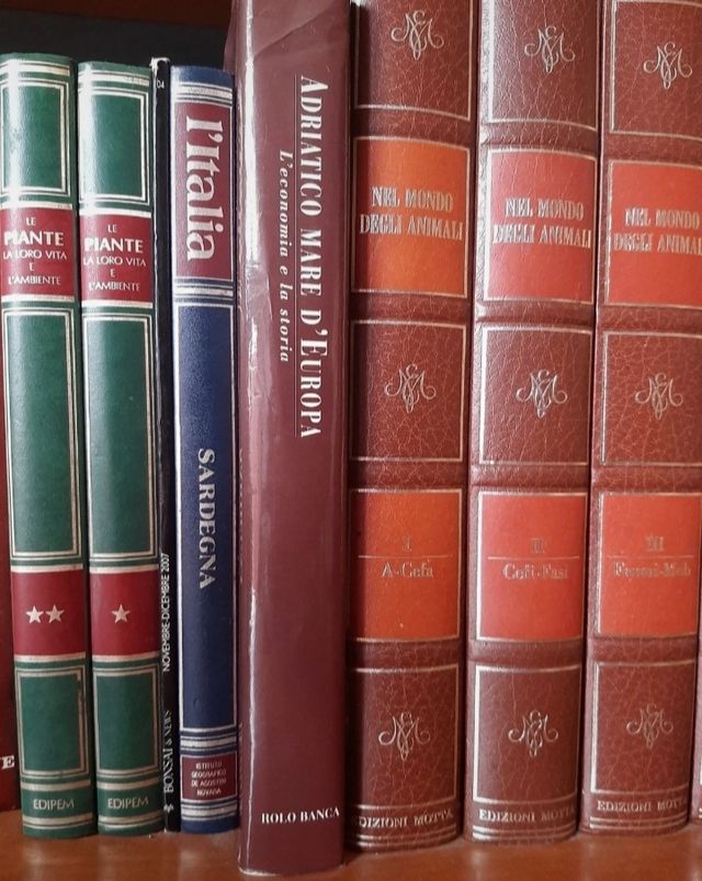 Volumi enciclopedia e/o singoli