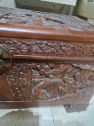 Golden Dragon Co Shangai