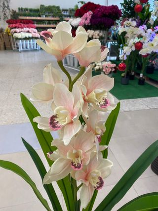 plantas artificiales