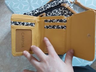 Portafogli e pochette carpisa