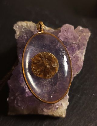 Colgante ovalo doraado de resina con seta