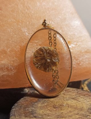 Colgante ovalo doraado de resina con seta