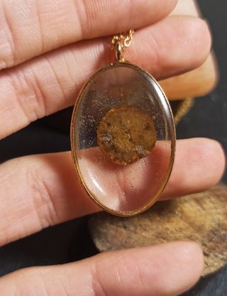 Colgante ovalo doraado de resina con seta