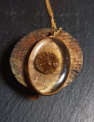 Colgante ovalo doraado de resina con seta