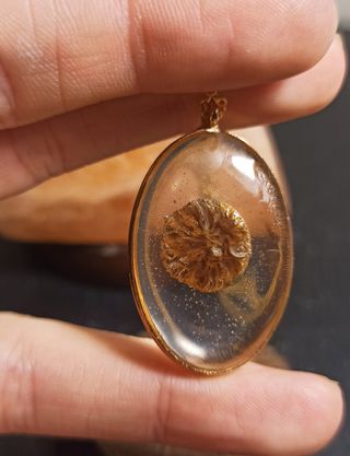 Colgante ovalo doraado de resina con seta