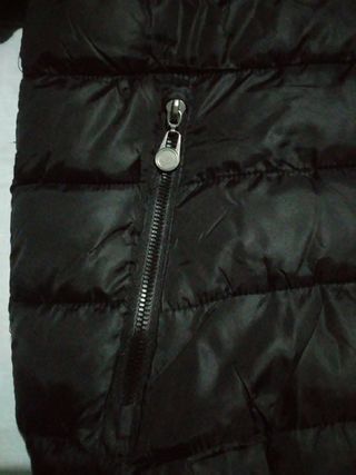 Winter Jacket