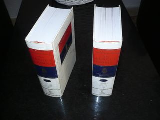 DICCIONARIO DE LA LENGUA ESPAÑOLA