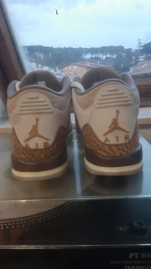 Jordan 3 palomino