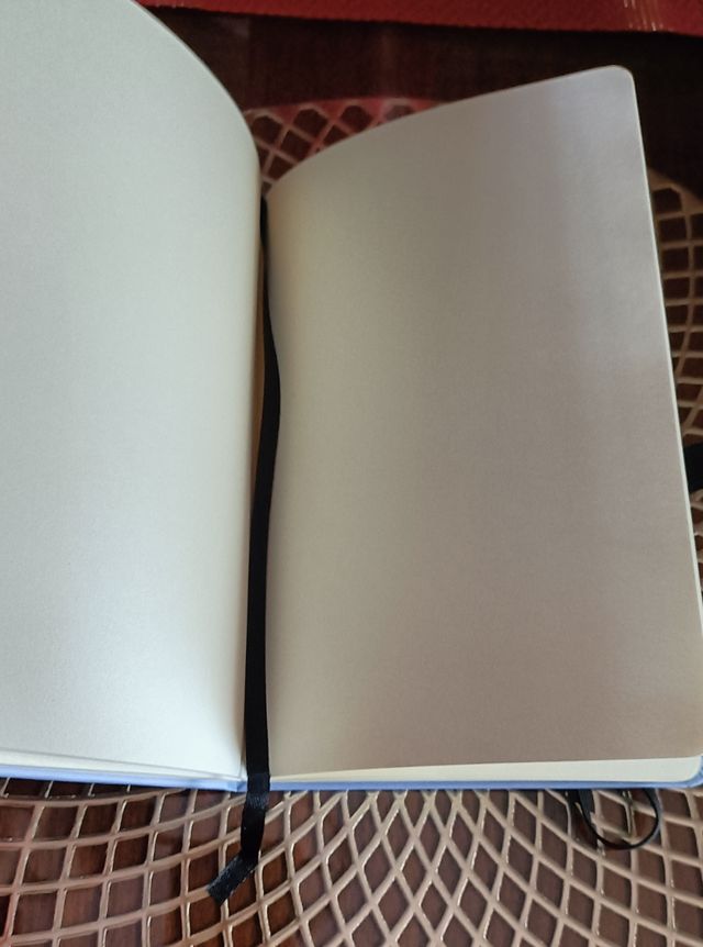 Diario en blanco de Alep-hop