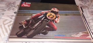 Poster h. Rigal vainqueur du tour de france