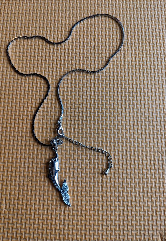 Colgante de delfín con collar de acero 