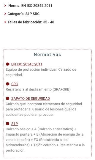 Zapatos Seguridad Skarppa