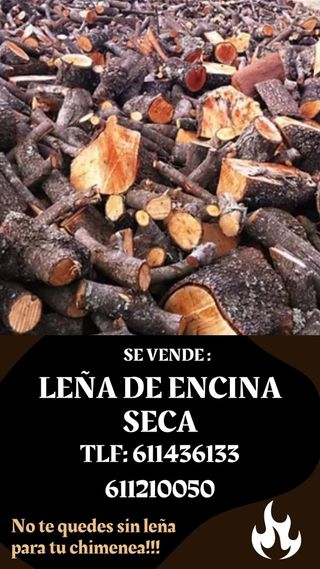 Leña de encina